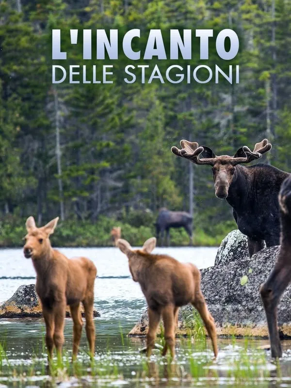 L'incanto delle stagioni