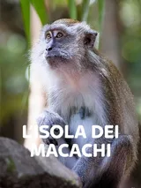 L'isola dei macachi