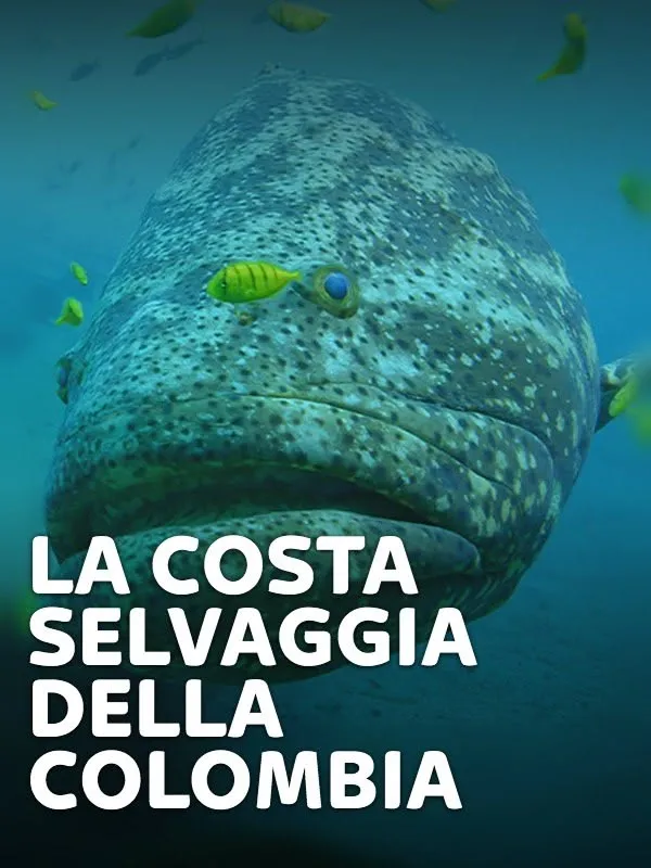 La costa selvaggia della Colombia
