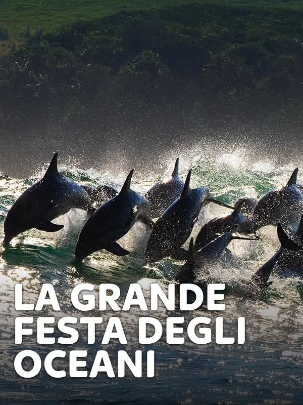 La grande festa degli oceani