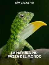 La natura piu' pazza del mondo