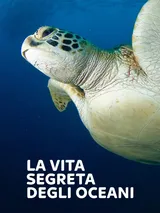 La vita segreta degli oceani