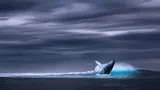 Le meraviglie dell'Oceano - Isole