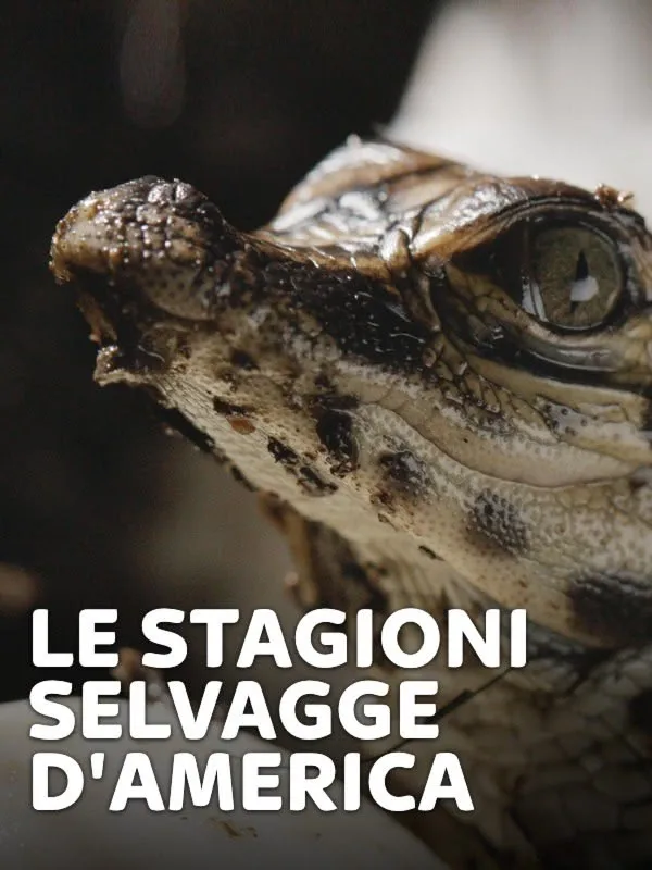 Le stagioni selvagge d'America