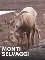 Monti selvaggi