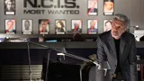 N.C.I.S
