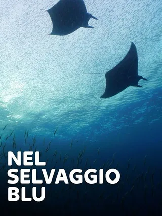 Nel selvaggio blu