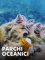 Parchi oceanici