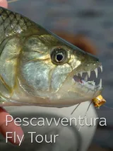 Pescavventura Fly Tour 2
