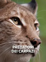 Predatori Dei Carpazi