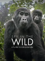 Spy In The Wild: A tu per tu con la...