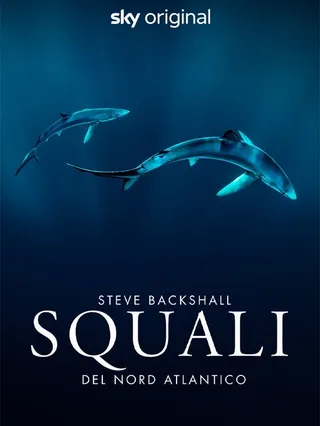Steve Backshall - Squali del Nord Atlantico