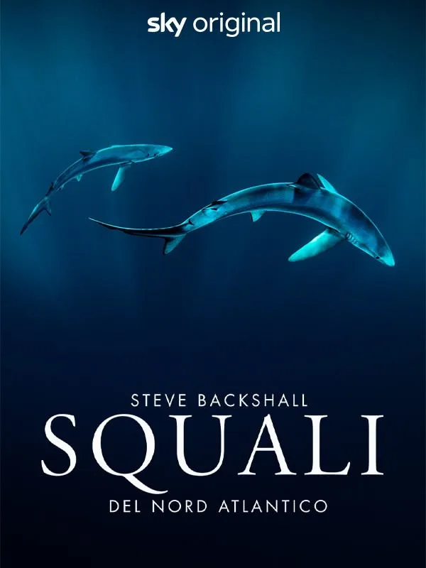 Steve Backshall - Squali del Nord Atlantico