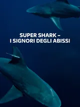 Super Shark: I signori degli abissi