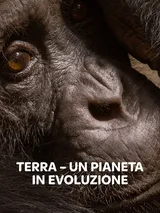 Terra - Un pianeta in evoluzione