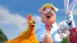 THE COOP TROOP