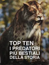 Top Ten: I predatori piu' bestiali...