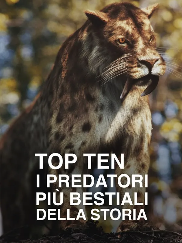 Top Ten: I predatori piu' bestiali...